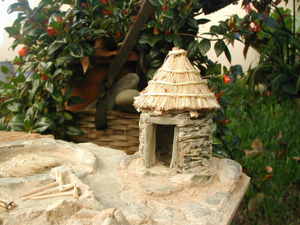 Pr&oacute;ximo slide